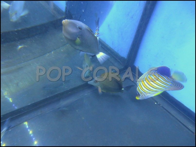 IMG_4280_zps4c9b221a.jpg