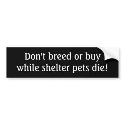 dont_breed_or_buy_while_shelter_pets_die_bumper_sticker-p128440347180668053z74sk_400.jpg