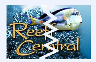 reef-central-logo-broken.jpg