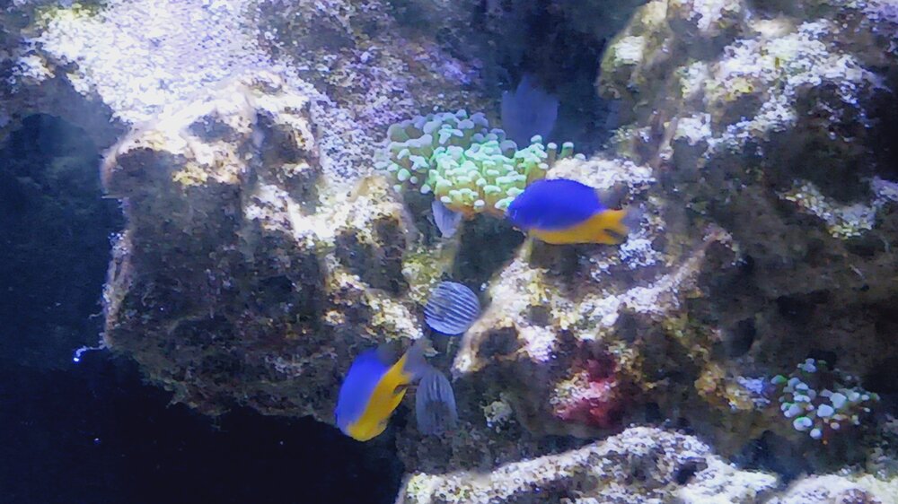 20250414_175146.jpg 20250414_175146.jpg