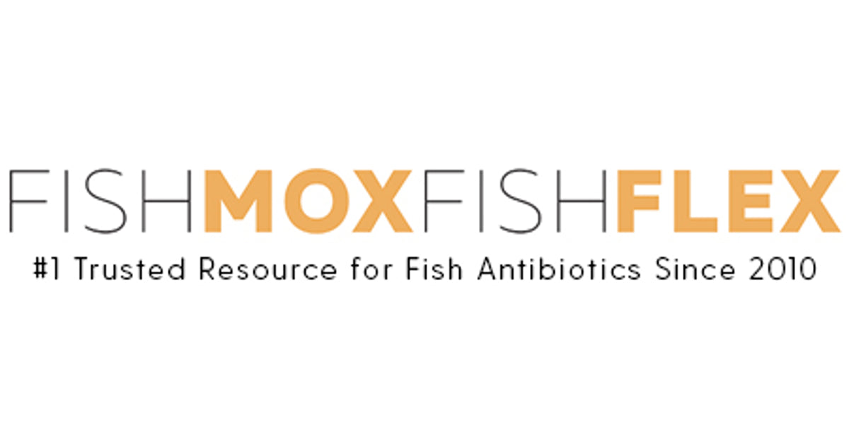 fishmoxfishflex.com