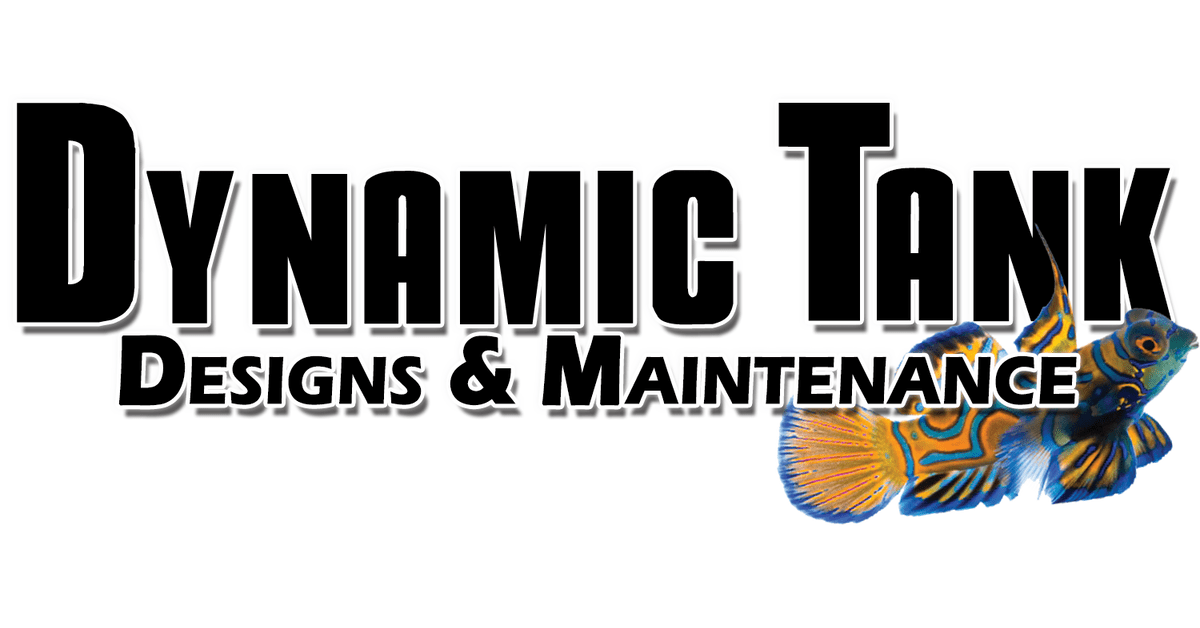 www.dynamictank.com