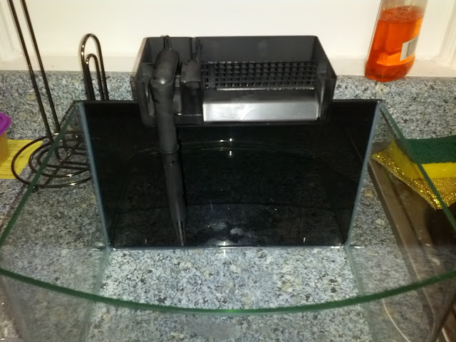 IMG_20120906_214413.jpg