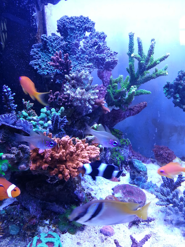 20150705_140338.jpg