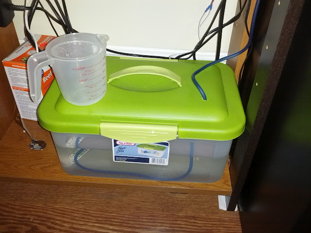 IMG_20121006_164723.jpg