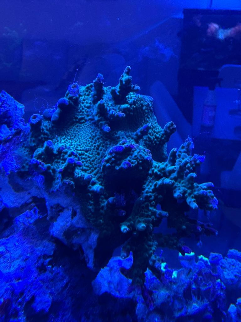 e6065ef4e7da4f890d0f1a012f095896.jpg