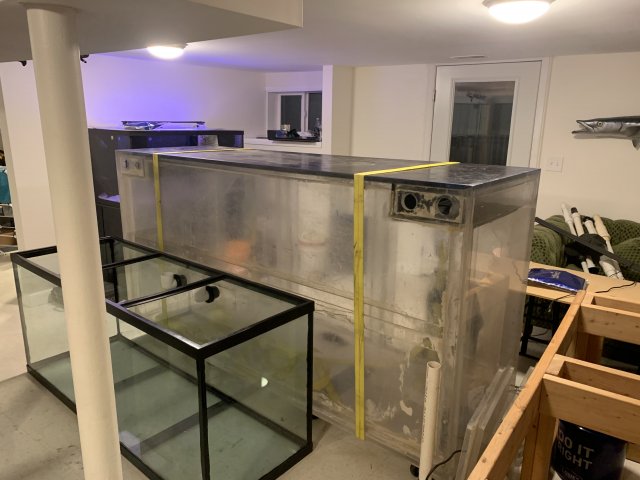 A87B2EAD-2611-4E9F-BA0C-5EB51F31434E.jpeg A87B2EAD-2611-4E9F-BA0C-5EB51F31434E.jpeg